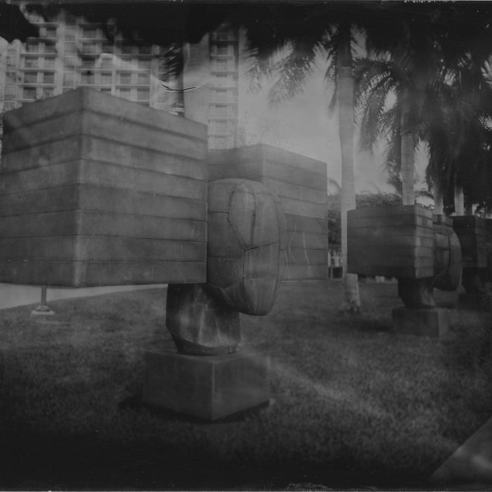 COLOSO 1A DORCAM 600 DPI