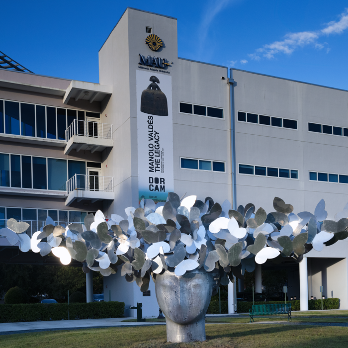 DSC03274 BUTTERFLIES MAU PARK