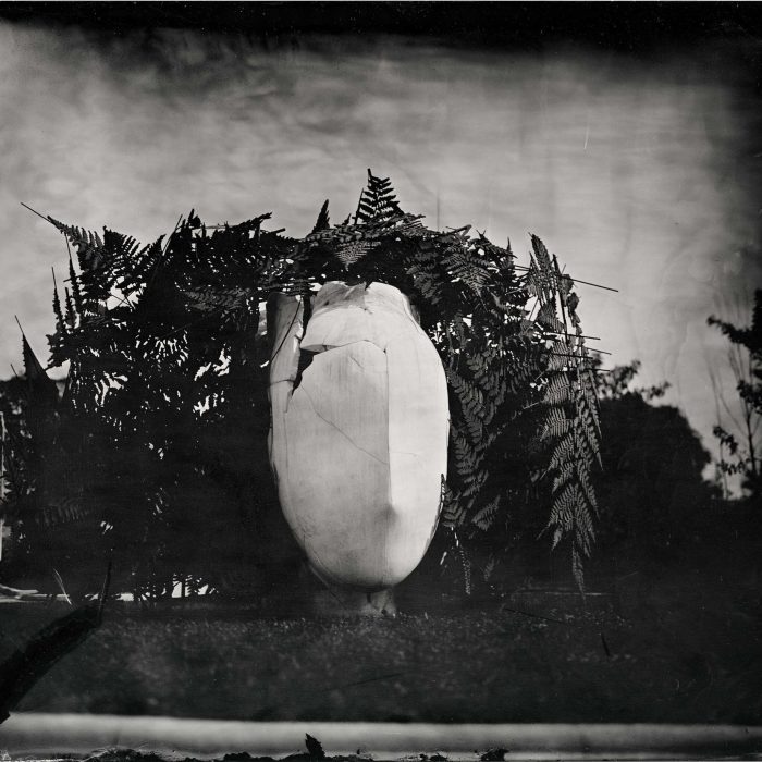 La DOBLE IMAGEN-1 CORRECTED FINAL